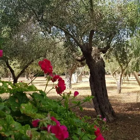 Dom wakacyjny Casa Ibiscus Marsala